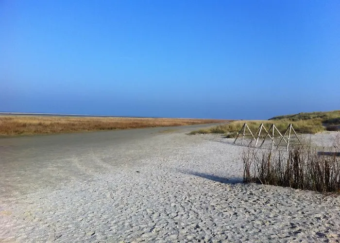 Dune Bep